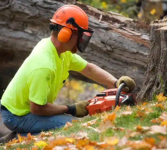 tree services Prospect